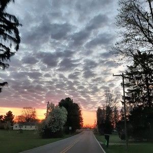 Meet your Posher, Emery